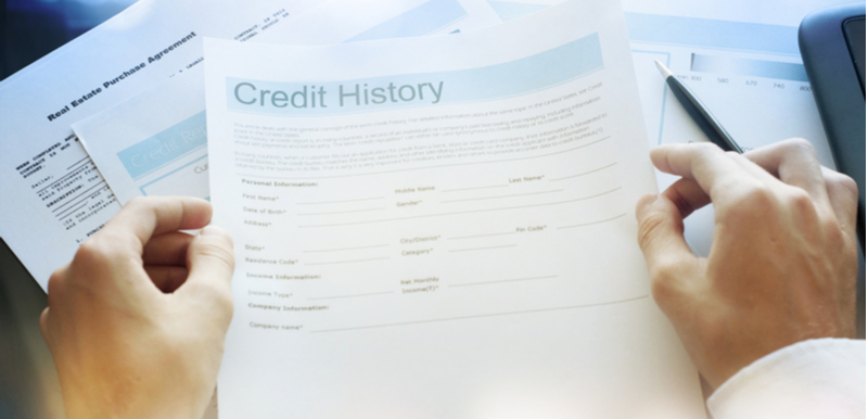 Credit History Report